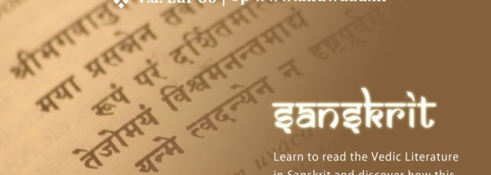 Courses & Lessons